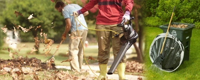 Yard Cleanup